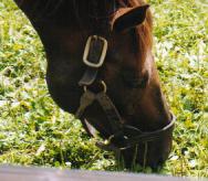 �T�N�����[����