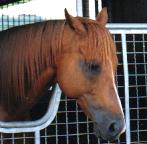 �����^��