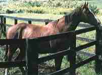 �}�`�J�l�^���z�C�U