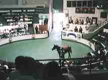 �A���u��̂���s