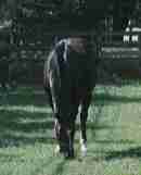 �~�i�K���}���i