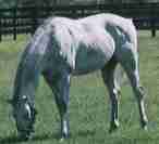 �u���b�N�^�C�A�t�F�A�[