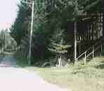 ���[�g�s�A�q��