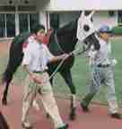 �u���b�N�^�L�V�[�h