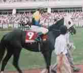 �I��R��ƃu���b�N�^�L�V�[�h