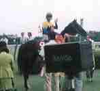 �ɂ�����I��R��