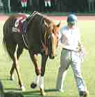 �O���X�����_�[