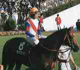 �I��R��ƃO���X�����_�[