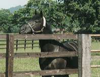 �G���n�[�u�̂���