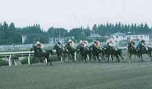 ��P���[�X���n�܂���