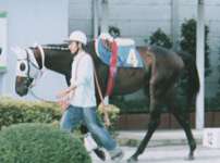 �u���C�A���Y���}��