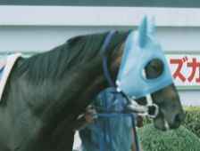 ����̃��W�����l