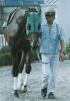 �^�ł��I�J�V�}�h���[��