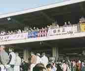 �F�s�{���n��p�h�b�N