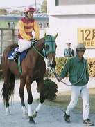 �J�V�}�h���[�����Ƒ�؋`��R��