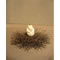 L̂<2005>
