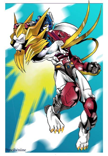 16-1.jpg (60852 oCg)