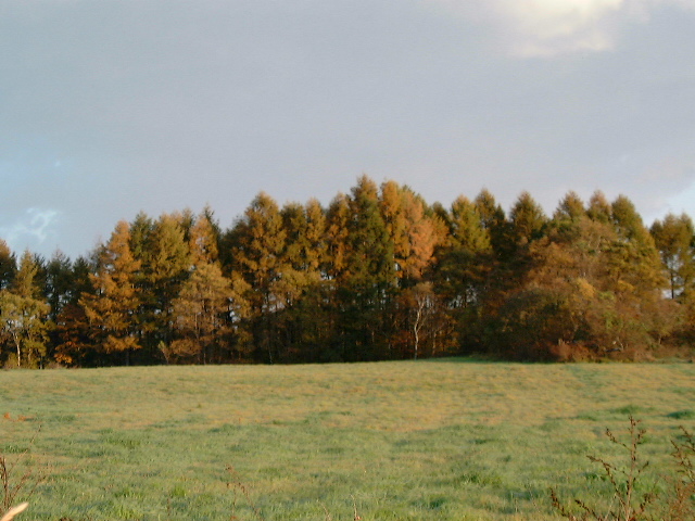 �����𗁂т��ӎR�̍g�t