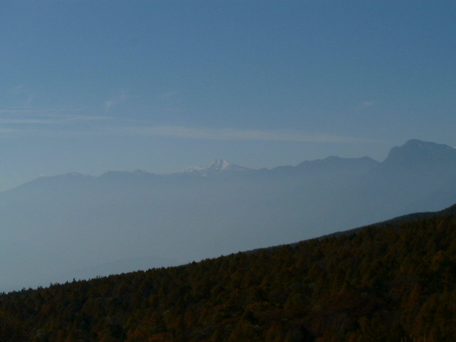 �����X�W�]�䂩�猩����x�m�R