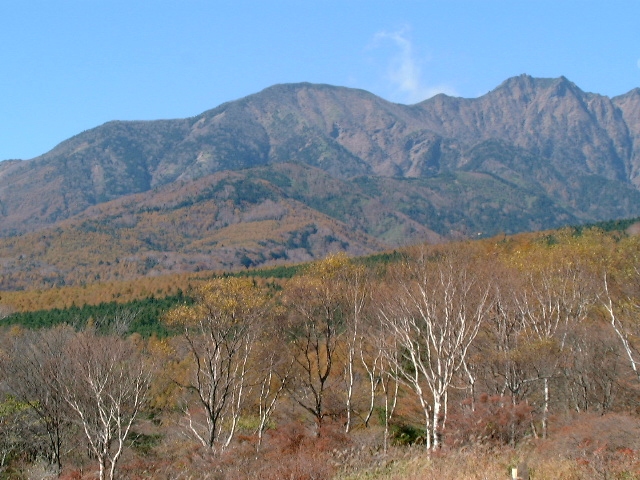 �����x�̍g�t