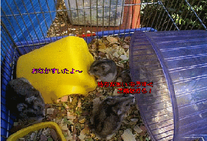 �҂��Ȃ��� �������� ���т�����I