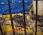 �Ȃ�ł���I