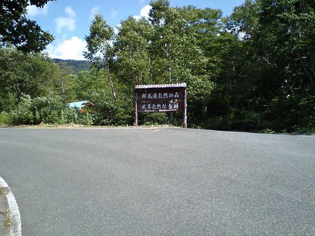自然の森