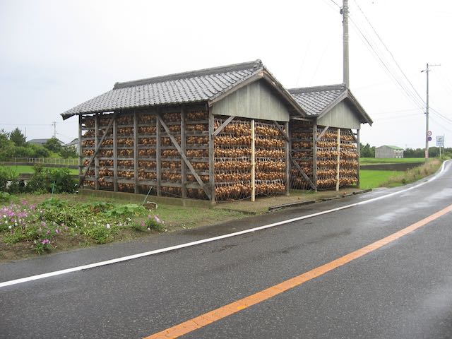 玉ねぎ