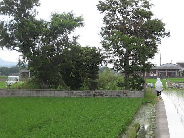 豊葦原国