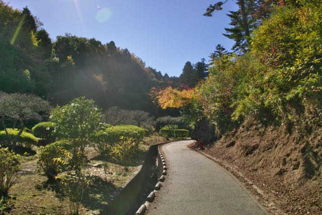 庭園