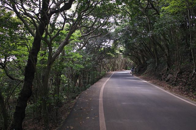 足摺岬
