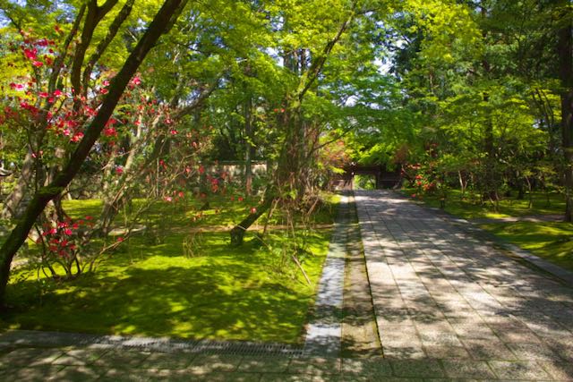 竹林寺