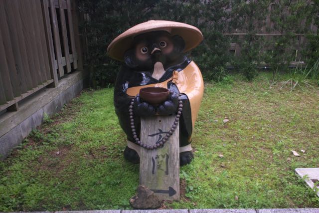 たぬき