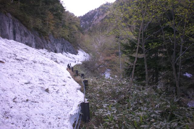 雪が大量