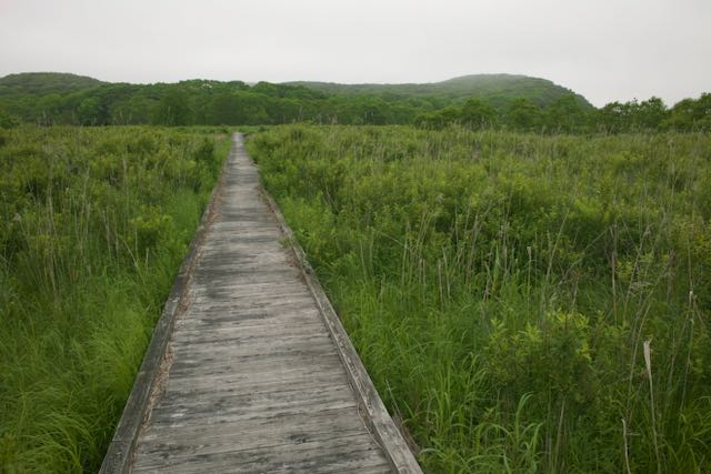釧路湿原