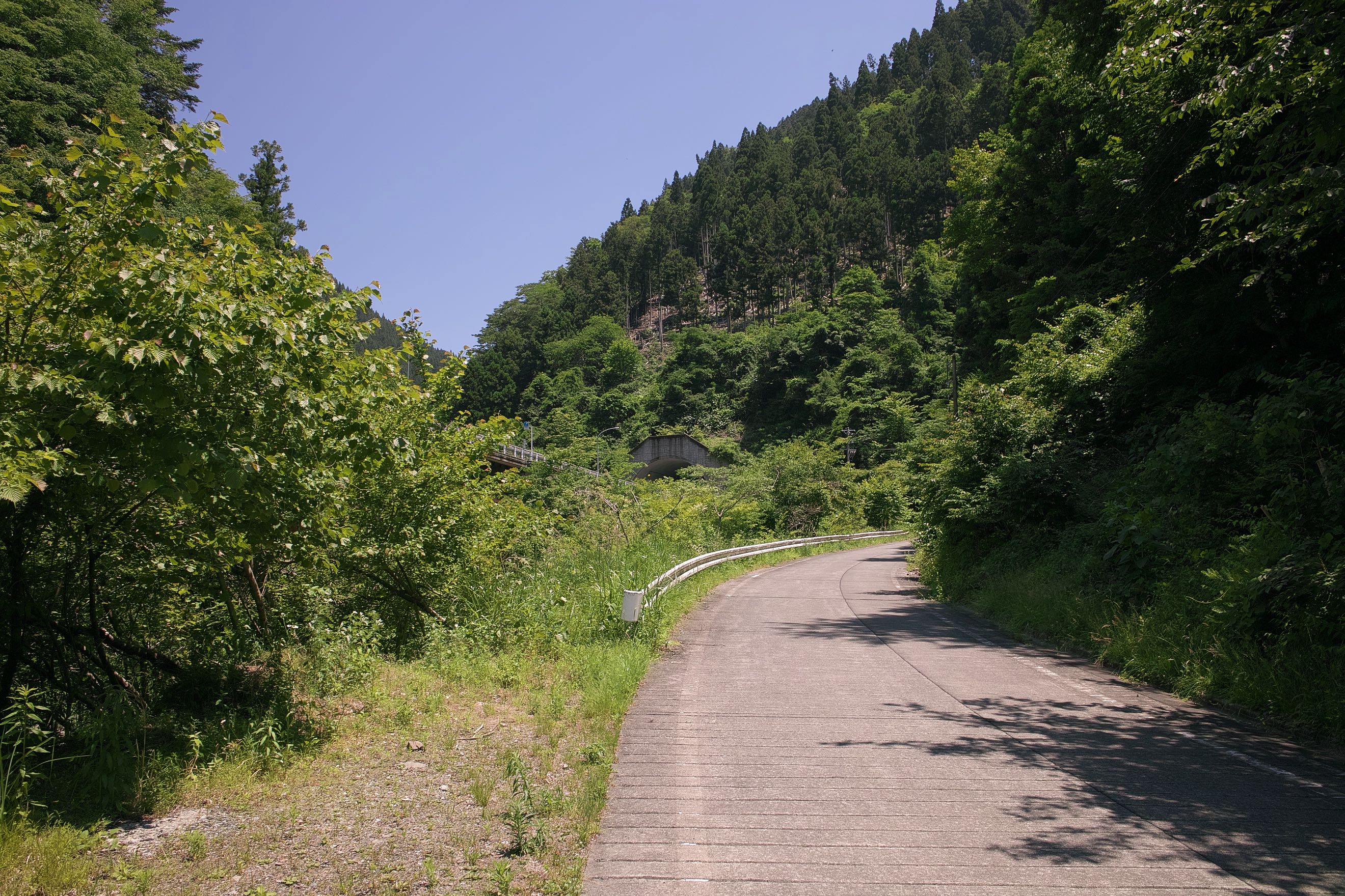 道