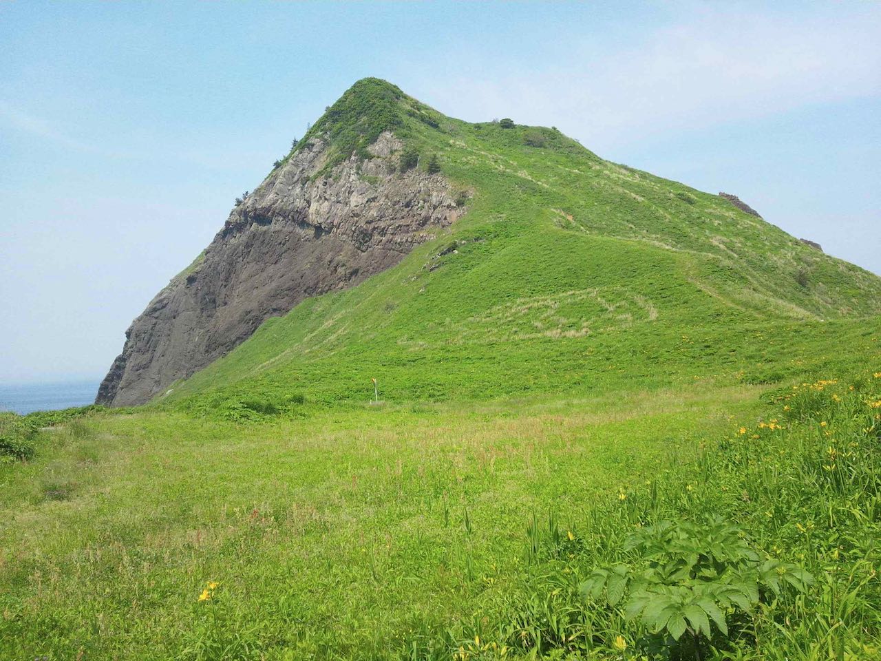 大野亀