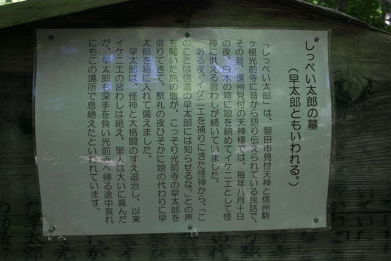 案内