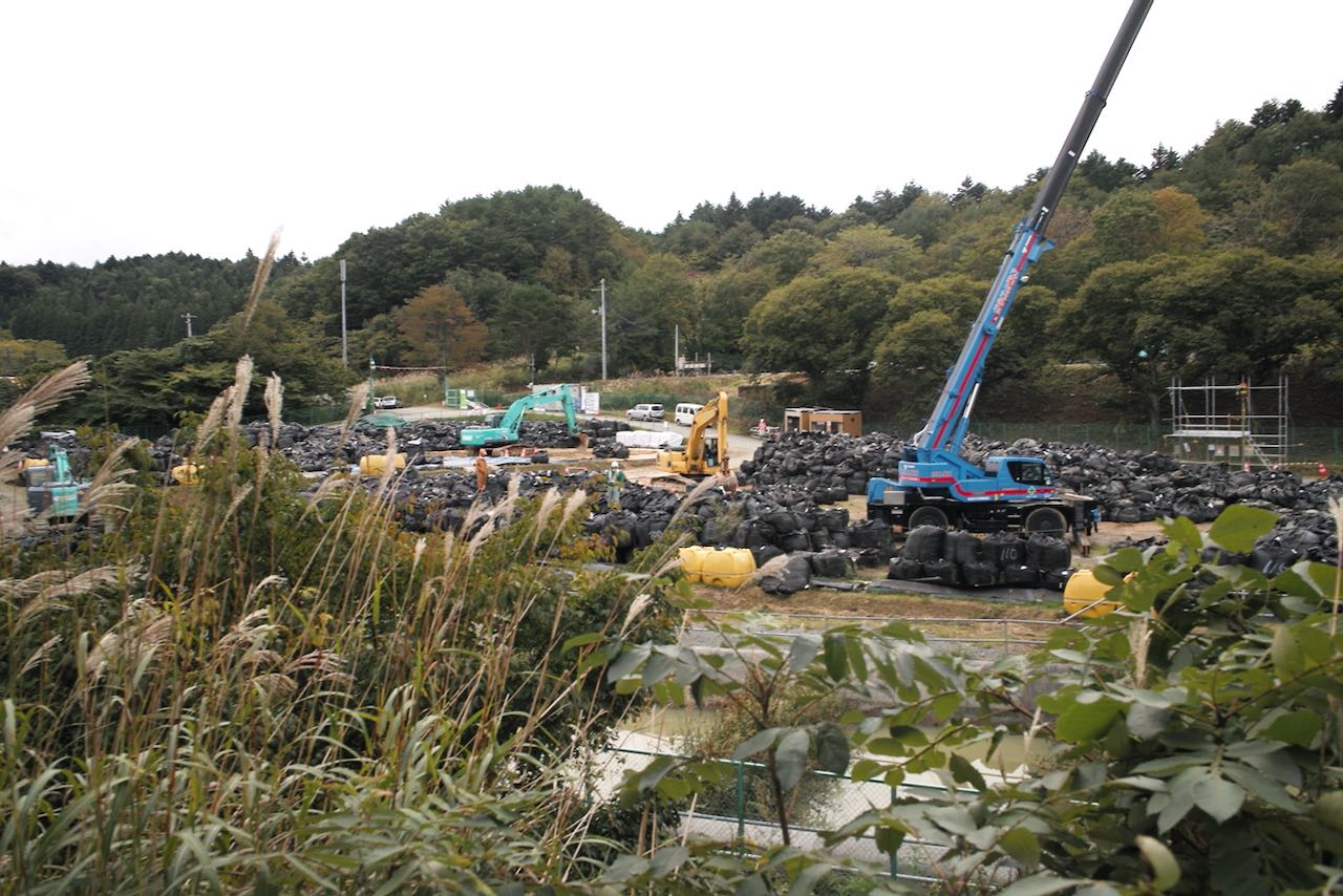 除染土