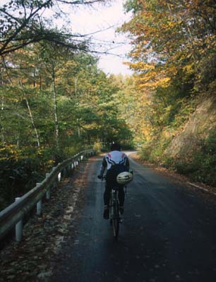 �G�ꂽ�����t�̒J�؂�o��