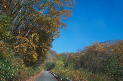 �哻����̉���