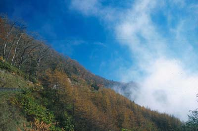 �_�̏�ɏo��