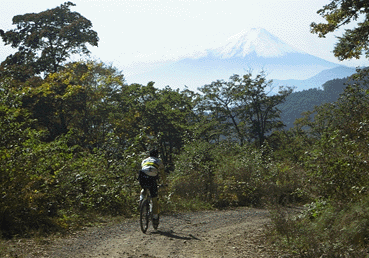 �x�m�Ɍ�������