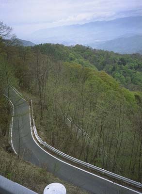 ����쓻�t��