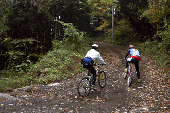 �����ѓ�