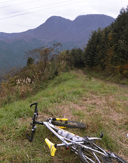 �����ѓ��͊�����