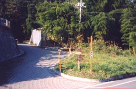 �����z����