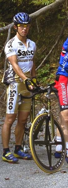 �V�c����̃L���m���f�B����