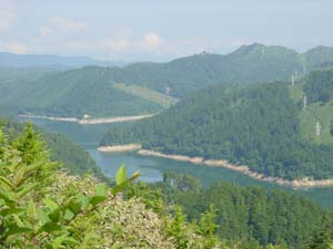 �O�Y�����r