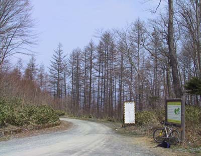 �򐅒��i���̃Q�[�g